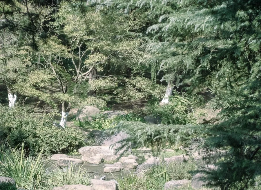 Photo Svaneklar